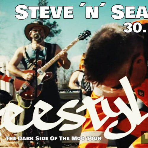 Steve ‘n’ Seagulls Freestyler & The Dark Side Of The Moo Tour Toppila Klubi