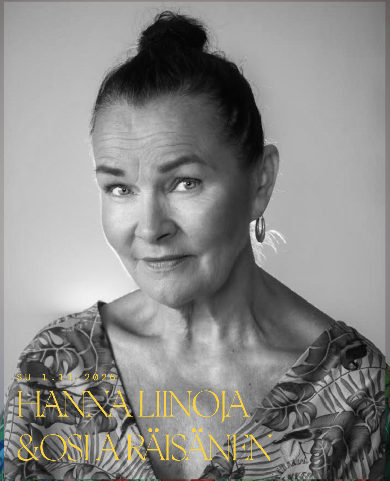 Liinoja_RÄisänen_Karuselli1